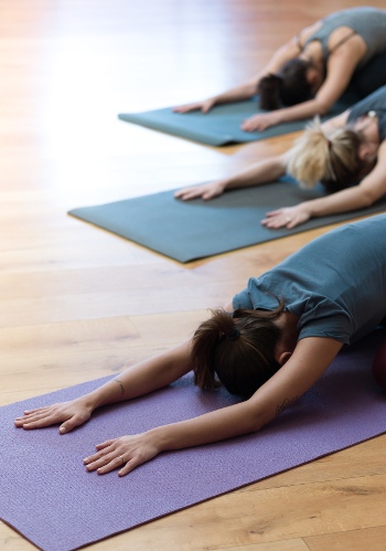 Ausbildung Yogalehrer BDY/EYU | Yogaschule Erlangen